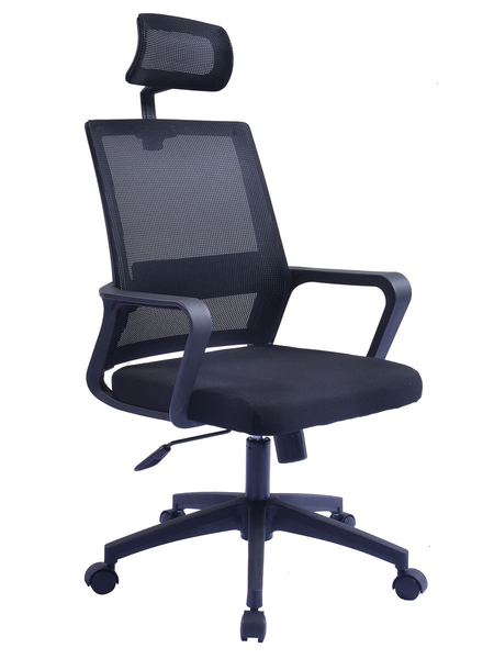 Eay Eay Thing Mesh Office Chair with Headrest