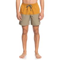 quicksilver volley shorts