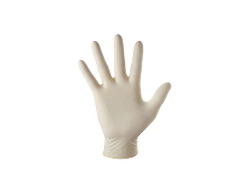 Annie - 100 Pieces Lightly Powdered Latex Gloves (Large)