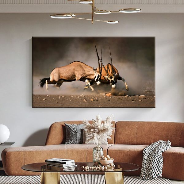 Gemsbok Fight Safari Canvas Print Wall Art Décor