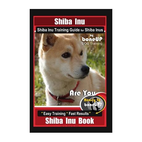 Are Shiba Inus Easy To Train