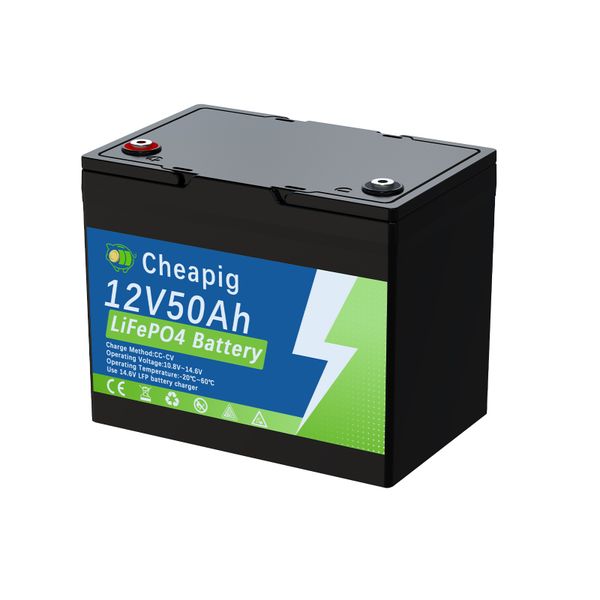 12V 50Ah Lithium Iron Phosphate Batteries Build in 50A BMS