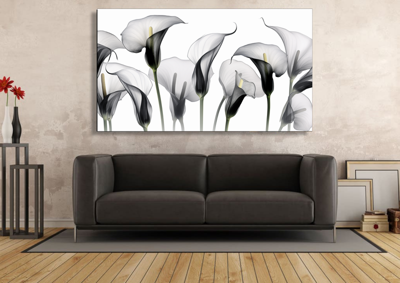 Canvas Wall Art -Arum Lillies Creative Art - IM0992