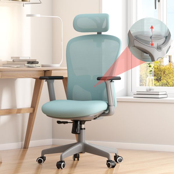 Ergonomic mesh Chair with Adjustable Lumbar, 3D Armrest and Headrest