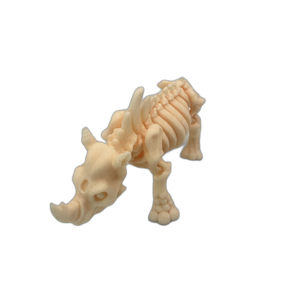 Skeleton Rhino