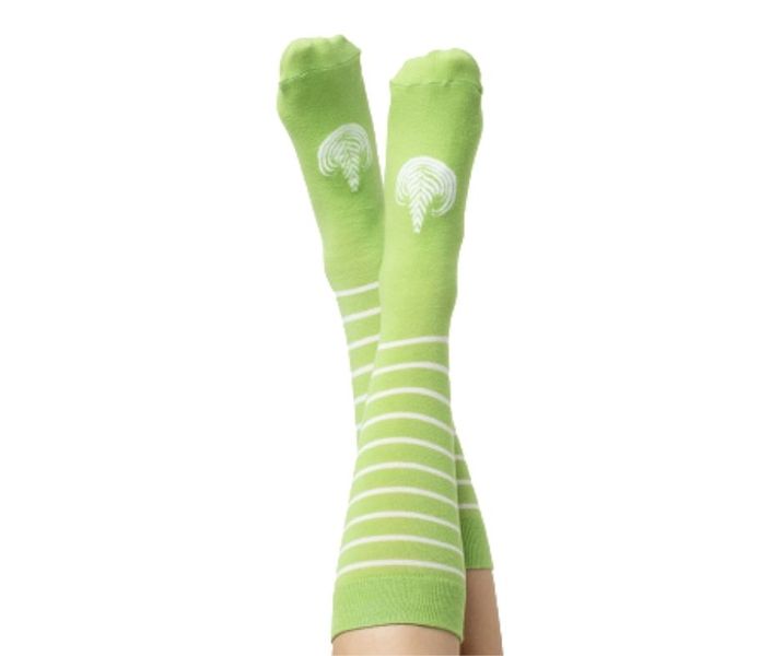 Latte Socks Matcha