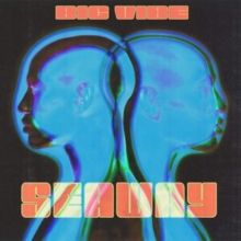 Big Vibe (CD / Album)