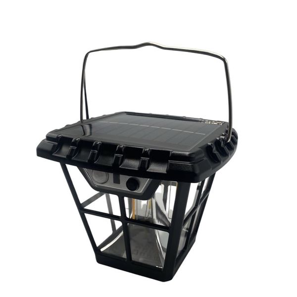 Solar Motion Landscape Light