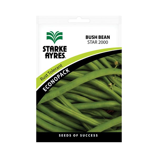 Starke Ayres Dwarf Bean Seeds Star 2000