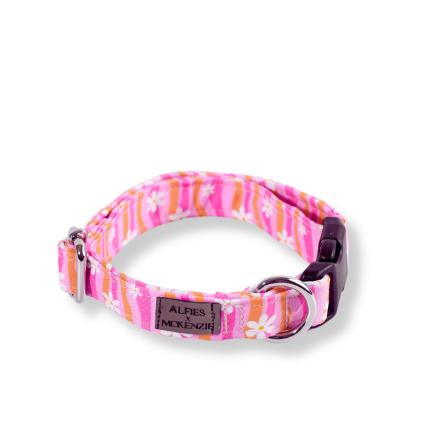 Alfies Dog Collar Daisy Power