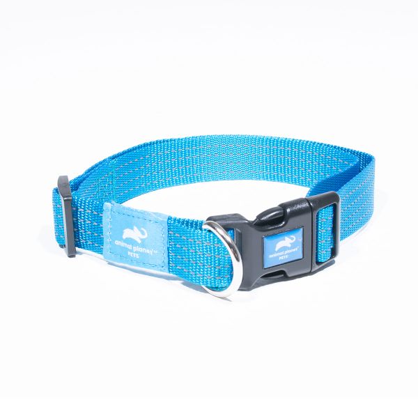 Animal Planet Classic Collar - Turquoise
