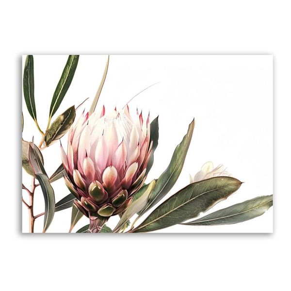 Painted Proteas Canvas Floral Wall Art