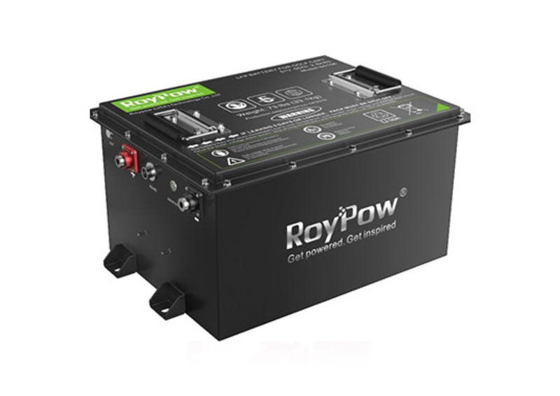 RoyPow logo