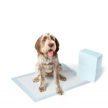 Pet supplies plus puppy pads hotsell