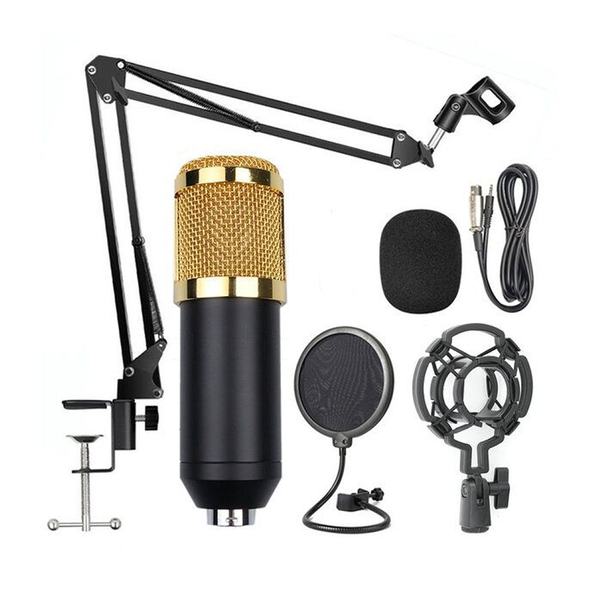 High Output Condenser Microphone With Shockproof Mount TS-1