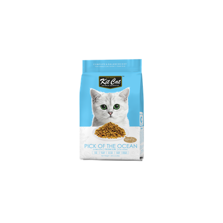 Flutd cat outlet food