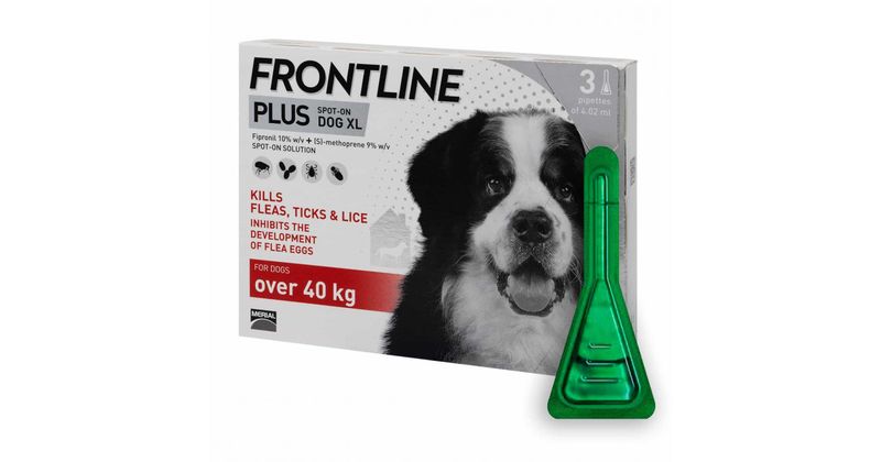 Frontline Plus Fleas, Ticks and Lice Treatment for Dog (Size: XL)