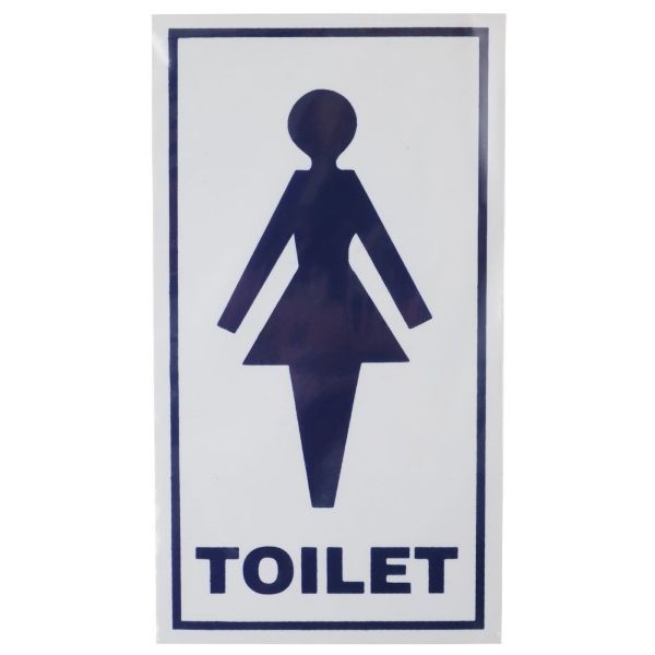 Plastic Blue On White Ladies Sign 100 x 180mm