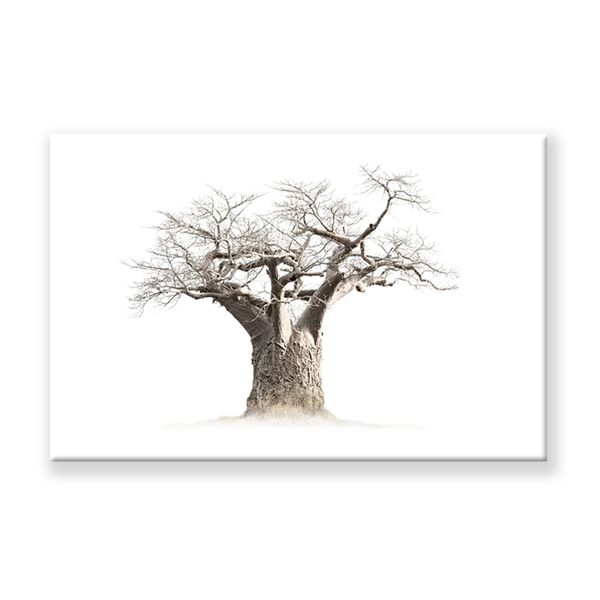 Canvas-Art- Single Africa Baobab Tree Wall Art