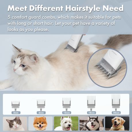 Persian cat grooming kit hotsell