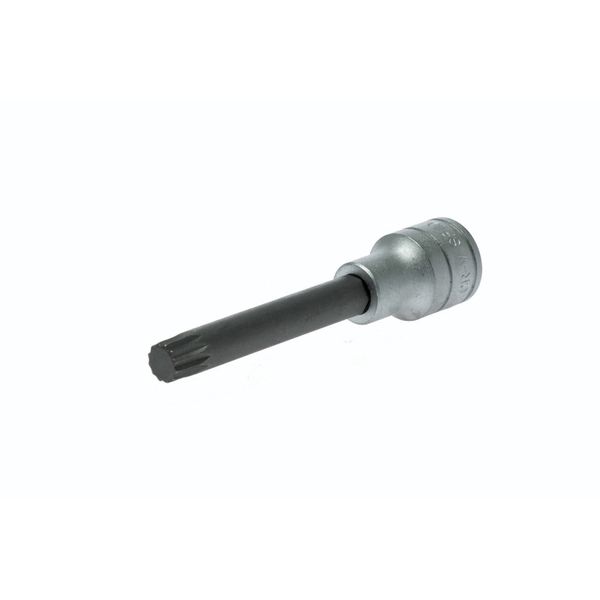 TengTools - 1/2inch Drive Spline (XZN) Socket Bit 10mm - M122810-C