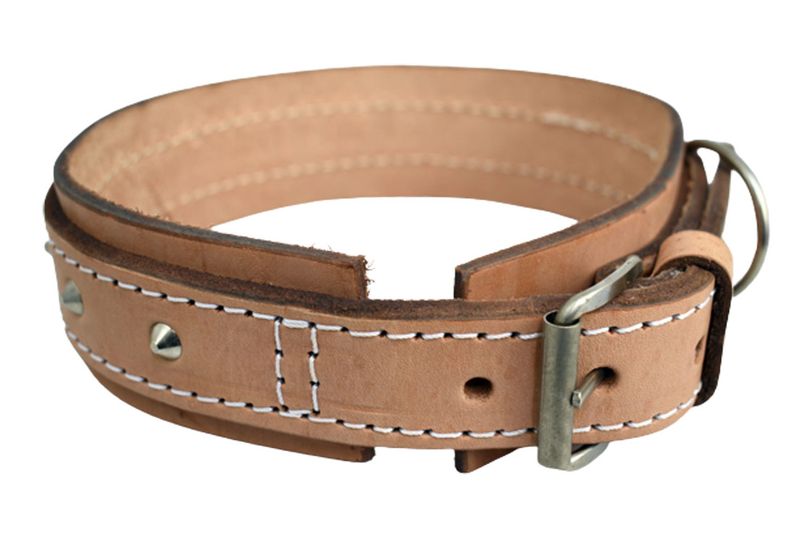 Leather Bull Dog Collar Reinforced #30 50mm x 750mm