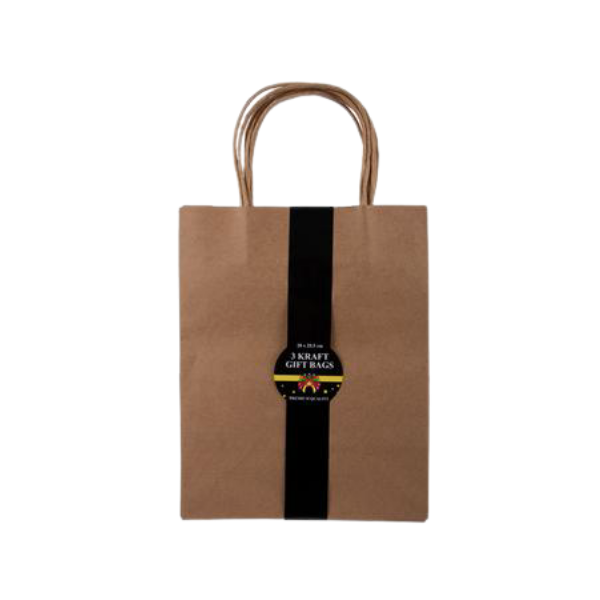 Kraft Gift Bags Brown Large