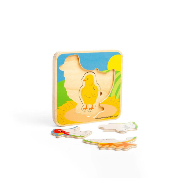 BigJigs - Lifecycle Chicken Puzzle