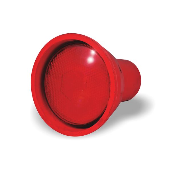 Infrared Animal Warmer