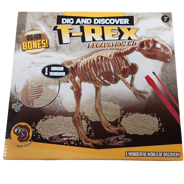 Educational Excavation Dinosaur Kit