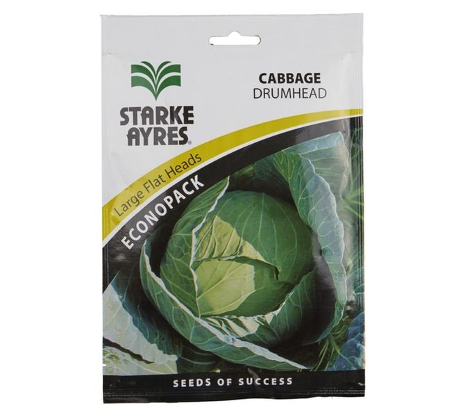 Starke Ayres Cabbage Drumhead Seeds Economy Pack 50g