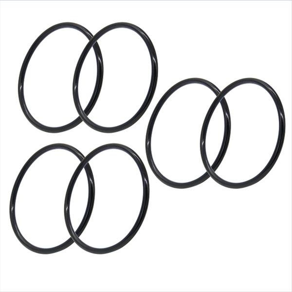 R172009 O-Ring for Pentair Model 300/320 Pool and Spa Chlorinator Lid