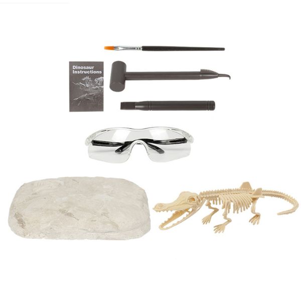 Olive Tree-Dinosaur Fossil Archaeology Paleontology Educational-Crocodile