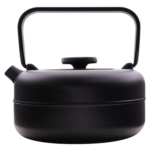 Regent Black Cast Iron Nambu Tekki Style Japanese Teapot - 850ml