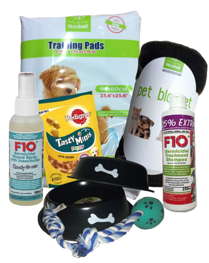 Puppy Starter Kit Shop Today. Get it Tomorrow takealot