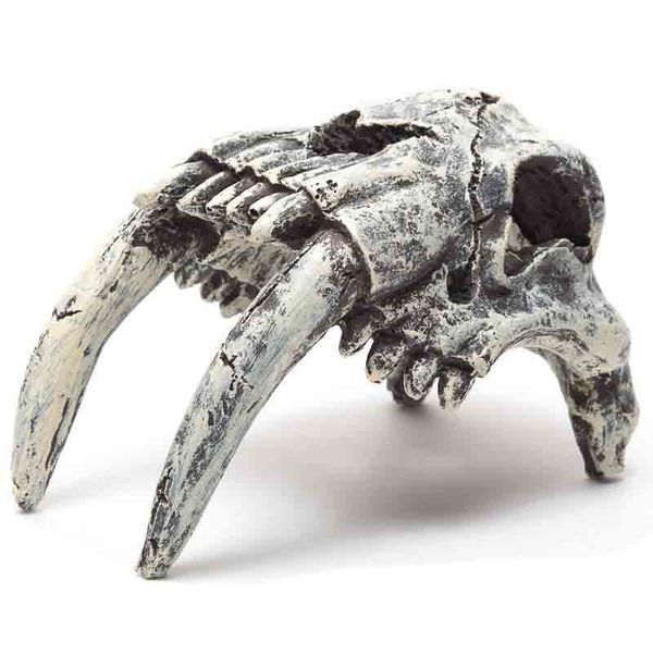 Predator Skull for Aquarium / Terrarium Hide Out / cave