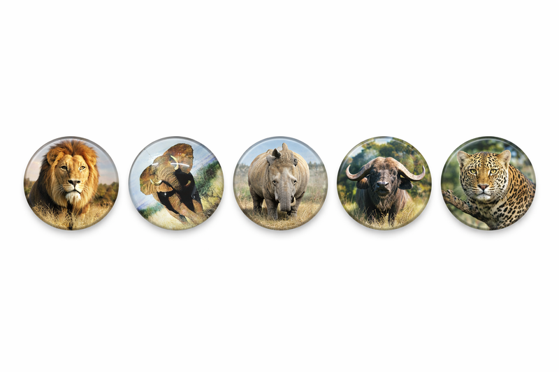 JJ African Adventure Big Five Magnet Set