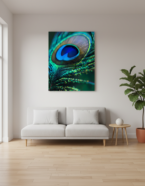 Peacock Feather image