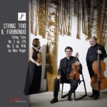 Max Reger: String Trios No. 1, Op. 77b/No. 2, Op. 141b (CD / Album)