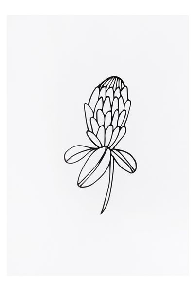 Sugar &amp; Vice - SV A4 Print - Timeless Room Décor (Protea)