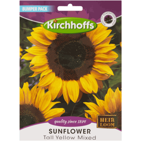 Kirchhoffs Sunflower Tall Yellow Bumper Pack