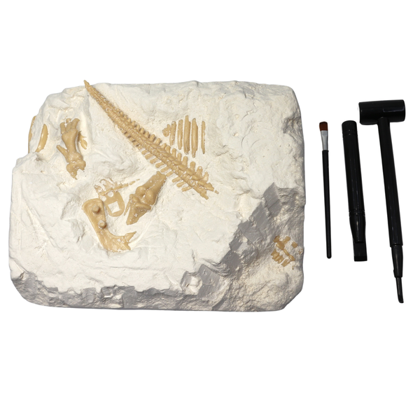 Pliosaurus Dinosaur Fossil Excavation Toys-Archaeological Blind Box Set