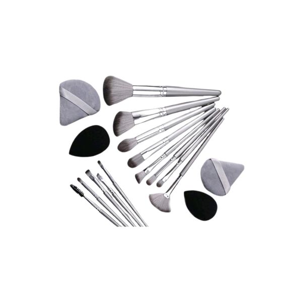 17 Pcs Premium Makeup Brush Set