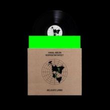 Delicate Limbs (Remixes) (Vinyl / 12" Album)