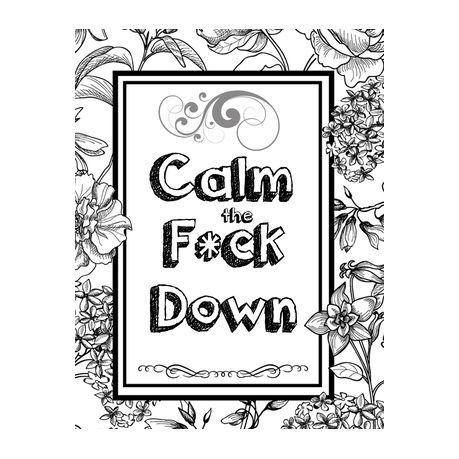 Calm The F Ck Down An Irreverent Adult Coloring Book With Flowers Falango Lions Elephants Owls Horses Dogs Cats And Many More Buy Online In South Africa Takealot Com