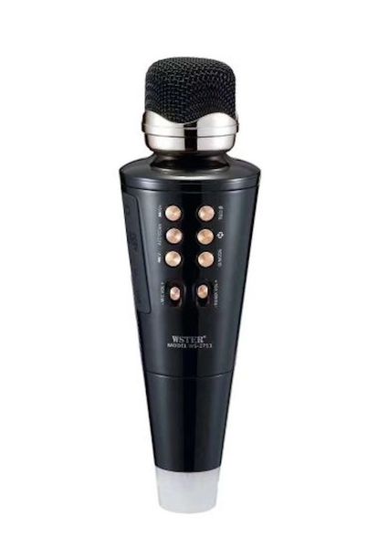 Karaoke Wireless Microphone