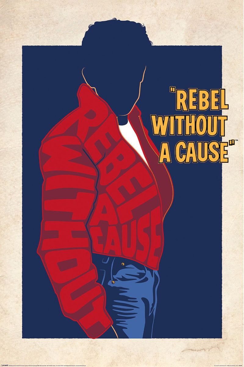 Warner Bros Art Of The 100th Rebel Without A Cause Poster Shop