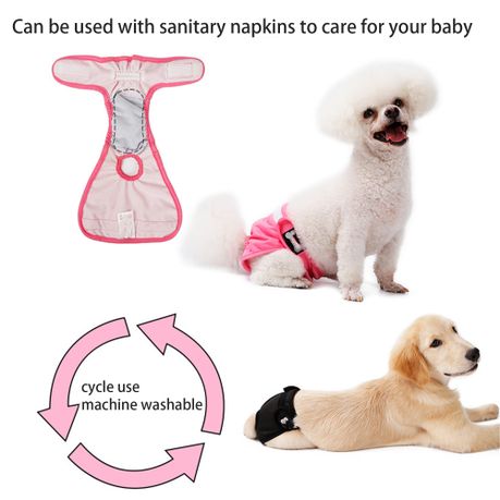 Pet Menstruation Underwear, Female Dog Menstrual Period Menstrual Pant  Washable Anti-Harassment Underwear Diapers (Color : Pink, Size : Small) :  : Pet Supplies