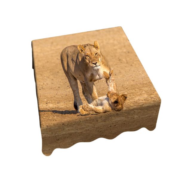 Thumbnail product image - 0