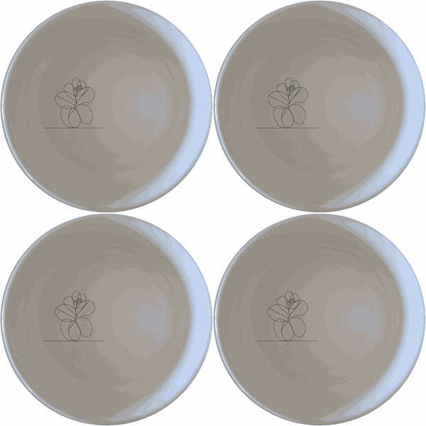 Hoya Carnosa Bowl Set of 4 - Range 3